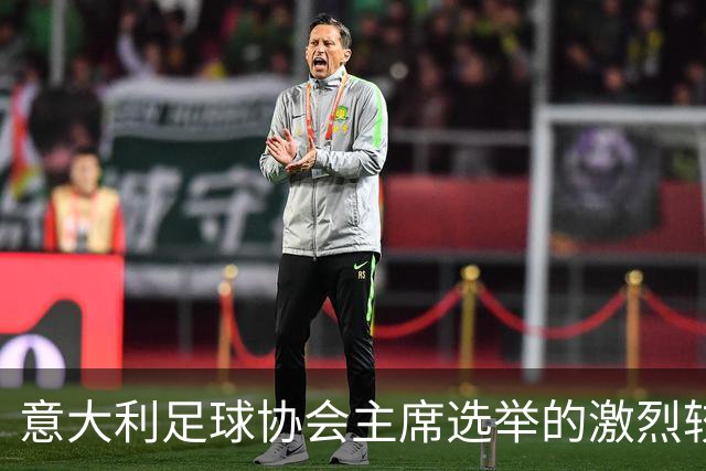 意大利足球协会主席选举的激烈较量，米兰双雄力挺加利亚尼