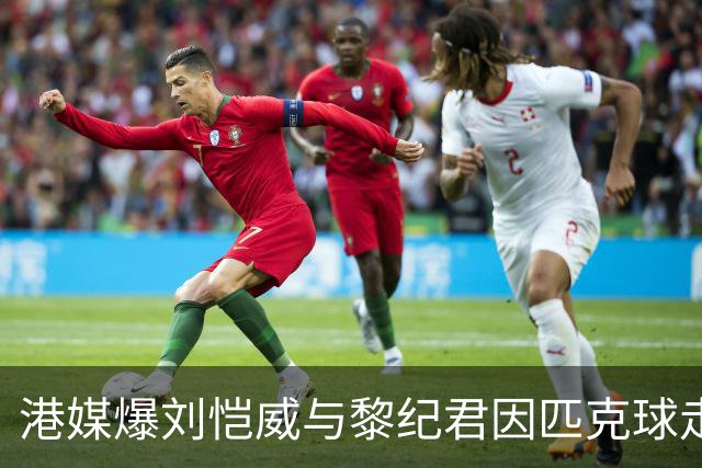 港媒爆刘恺威与黎纪君因匹克球走近，隐秘恋情延续两月